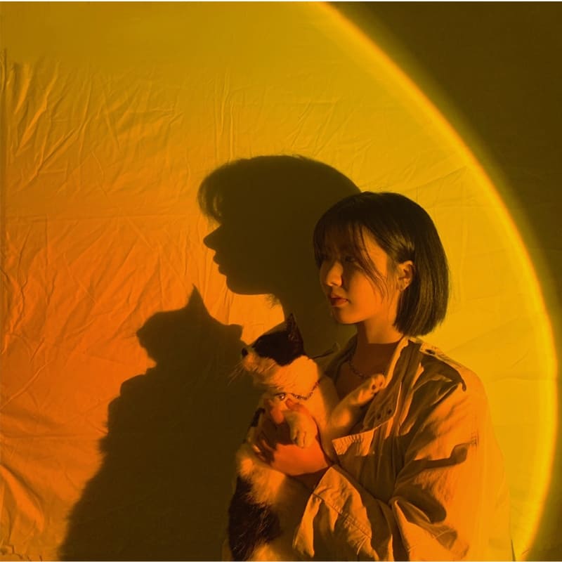 Projetor De Luz LED 4 Em 1 Giratório 360 Graus Ambiente