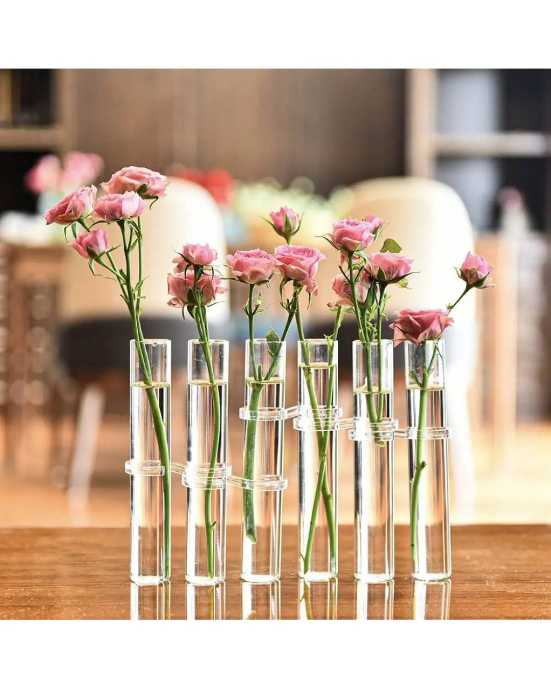 Vaso Suspenso de Vidro Tubular  Elegante - Kit 4 ou 6 Unidades